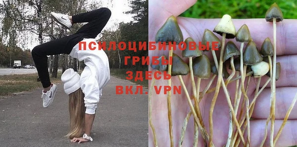 индика Армянск
