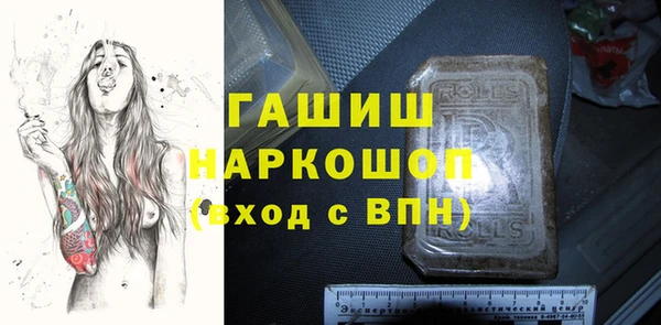индика Армянск