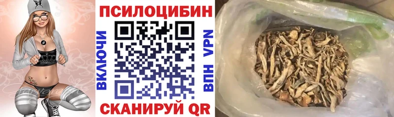Галлюциногенные грибы Psilocybine cubensis  МЕГА   Пятигорск 
