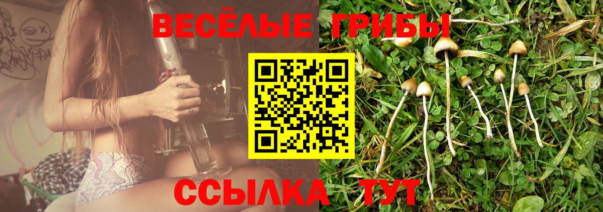 Галлюциногенные грибы прущие грибы  Вход с VPN  Пятигорск 