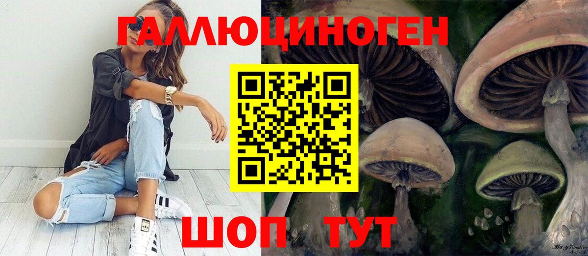Псилоцибиновые грибы Psilocybe Пятигорск