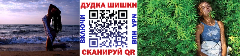 где купить наркотик  Пятигорск  hydra зеркало  Бошки Шишки OG Kush 